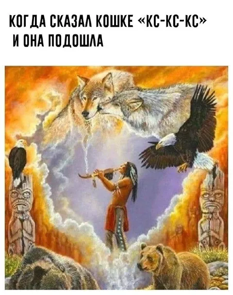 Кошка пришла на кс-кс-кс