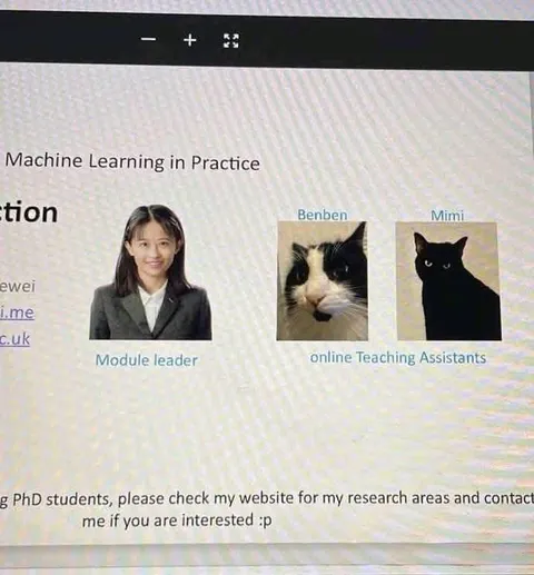 Cats as Teaching Assistants