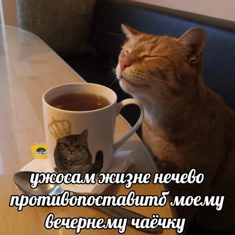 Вечерний чаёчек против ужасов жизни