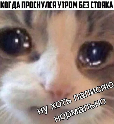 Проснулся без стояка