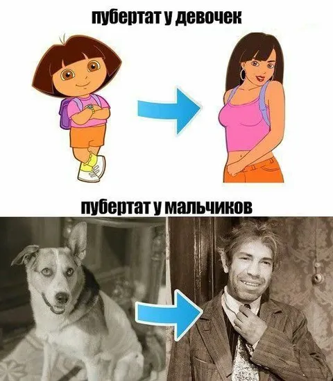 Пубертат у девочек и мальчиков