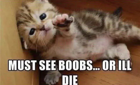 Must See Boobs or Die