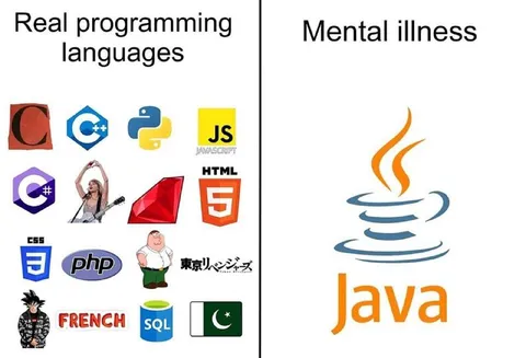 Real Programming Languages vs Java
