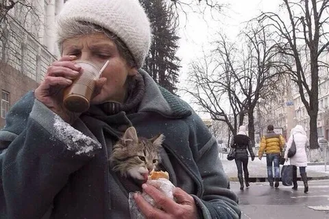 Бабушка с котом на улице