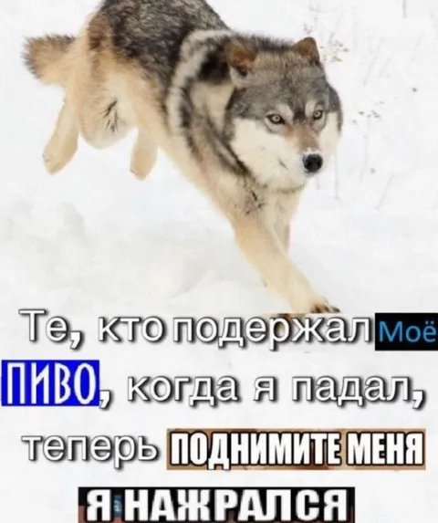 Волк просит поднять его