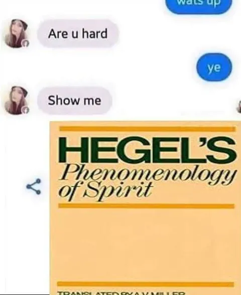 Show Me Hegel’s Phenomenology
