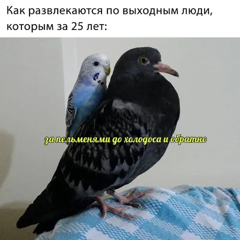 Развлечения после 25 лет