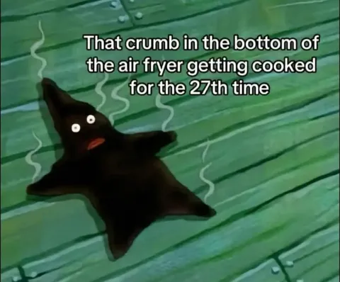 Air Fryer Crumb Gets Cooked