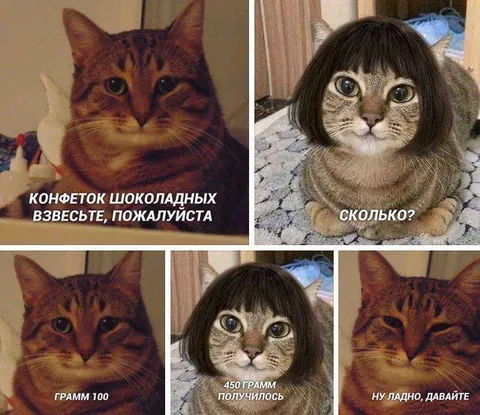 Кот просит взвесить конфеты