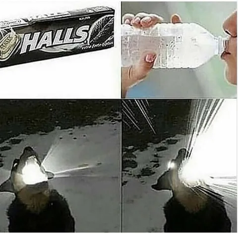 HALLS вызывает прожектор