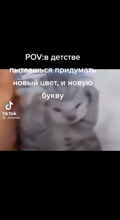 Кот придумывает новый цвет и букву