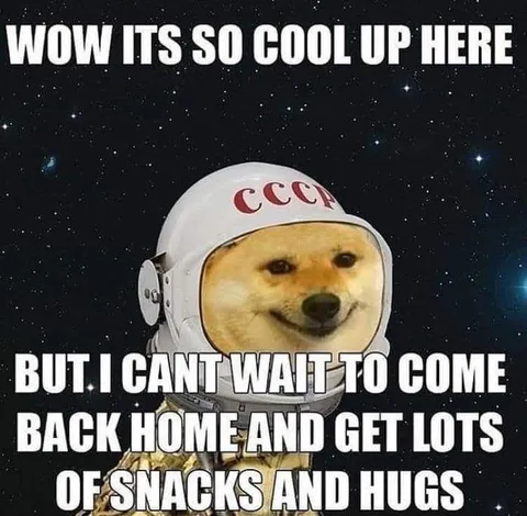 Doge Astronaut Wants Snacks