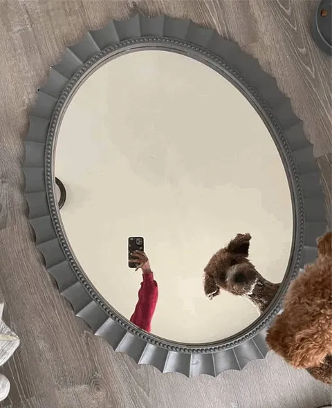 Селфи с собакой в зеркале