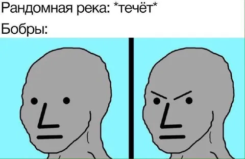 Бобры перекрывают случайную реку