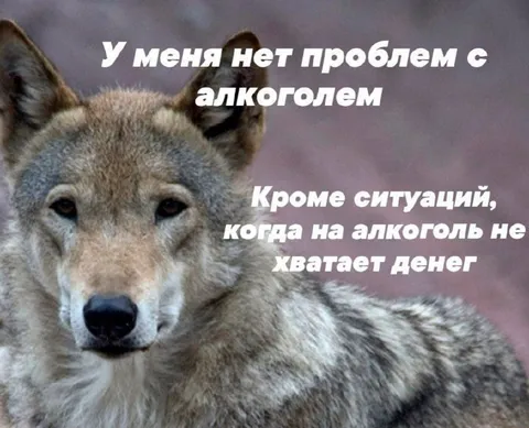 Нет проблем с алкоголем