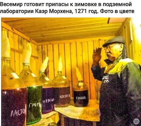 Весемир готовит припасы к зимовке