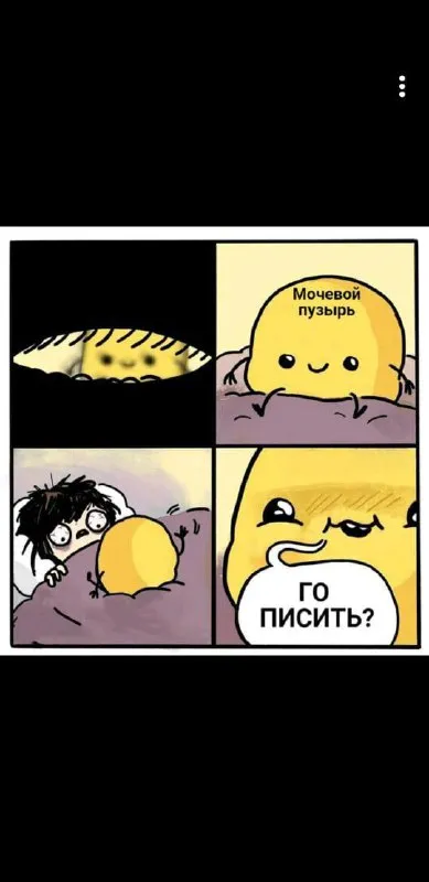 Мочевой пузырь зовёт писать