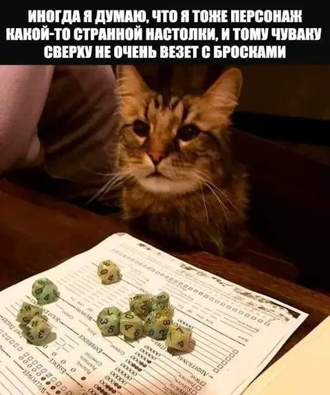 Кот-персонаж странной настолки