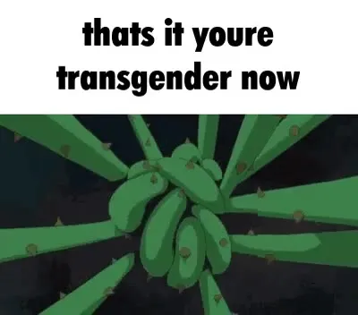 Thats It Youre Transgender Now