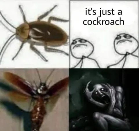 It's Just a Cockroach