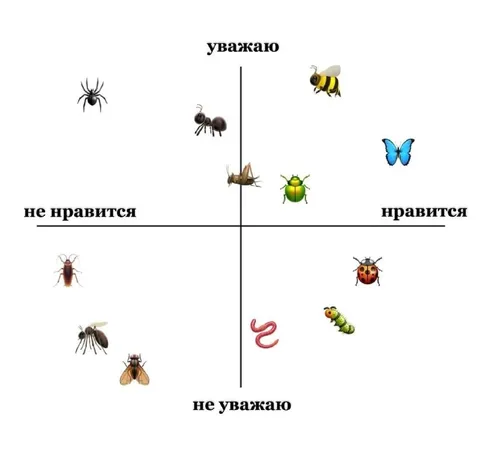 Квадрант насекомых по отношению