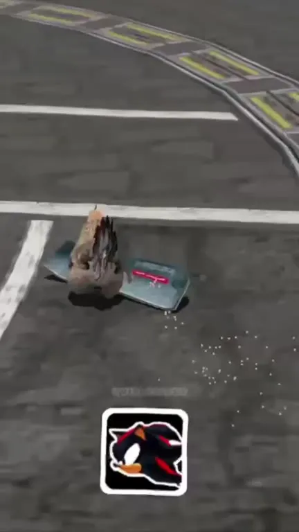 Chicken Runs Through Traffic