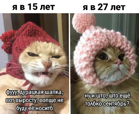 Кот в шапке с возрастом