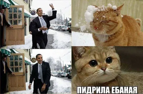 Обама кидает снежок в кота