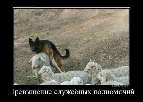 Превышение служебных полномочий