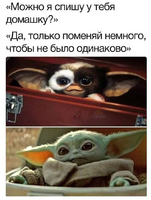 Поменяй домашку, чтобы не было одинаково