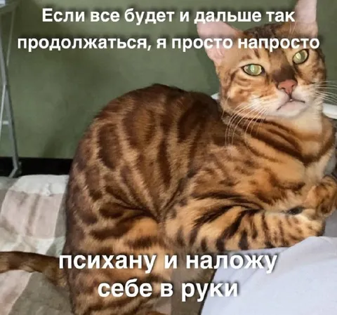 Психану и наложу себе в руки