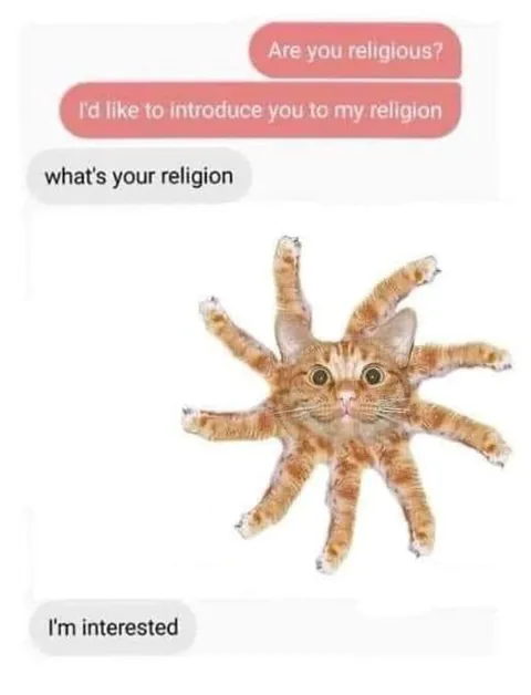 Cat Religion Introduction