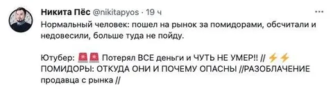 Ютубер и помидоры