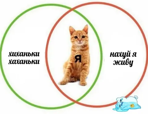 Хиханьки, хаханьки и смысл жизни