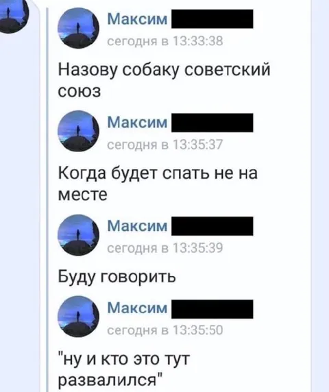 Собака Советский Союз во сне