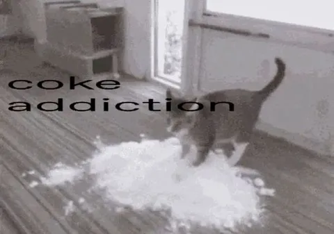 Cat Coke Addiction Meme