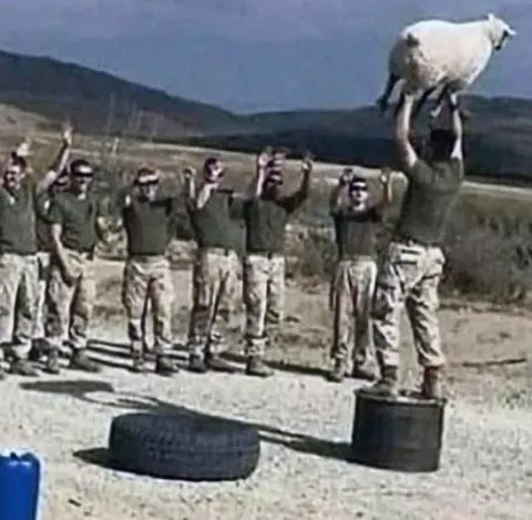 Солдаты поднимают овцу