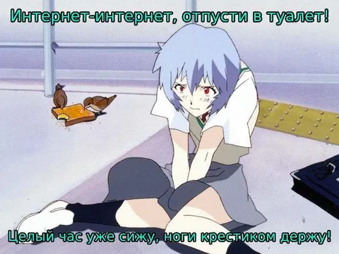 Интернет не пускает в туалет