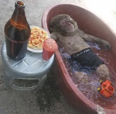 Обезьяна принимает ванну