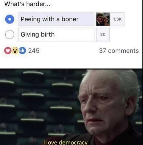 I Love Democracy Poll