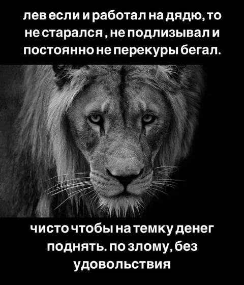 Лев ради денег без удовольствия