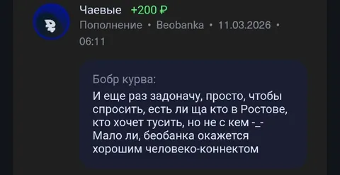 Бобр ищет компанию в Ростове