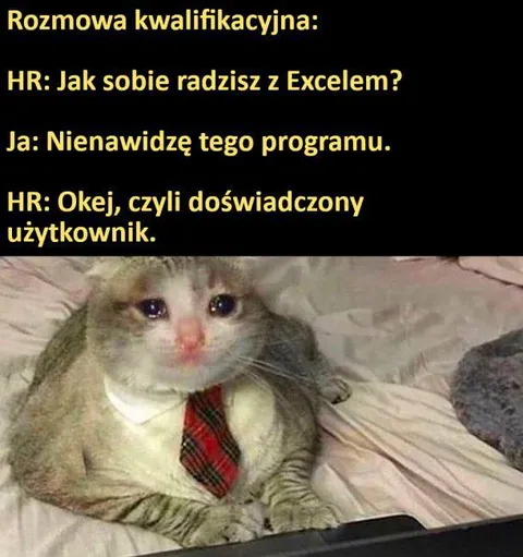 Doświadczony użytkownik Excela