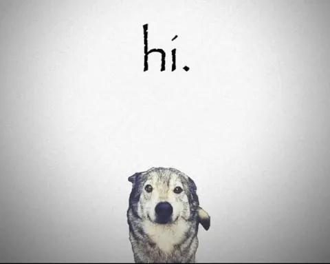 Hi Dog Greeting Meme