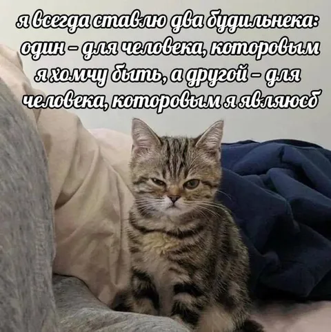 Два будильника и две личности