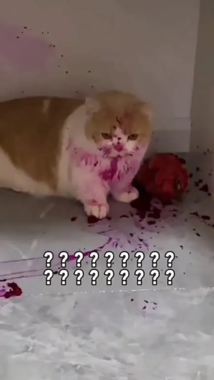 Cat Covered in Dragon Fruit