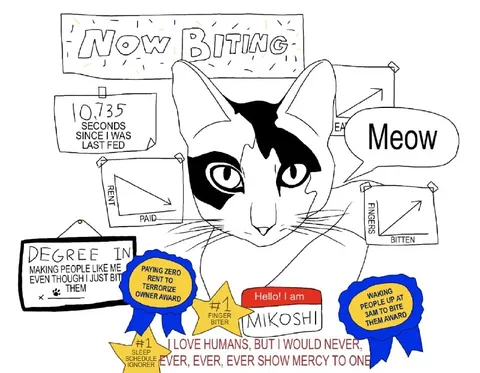 Cat With Zero Mercy