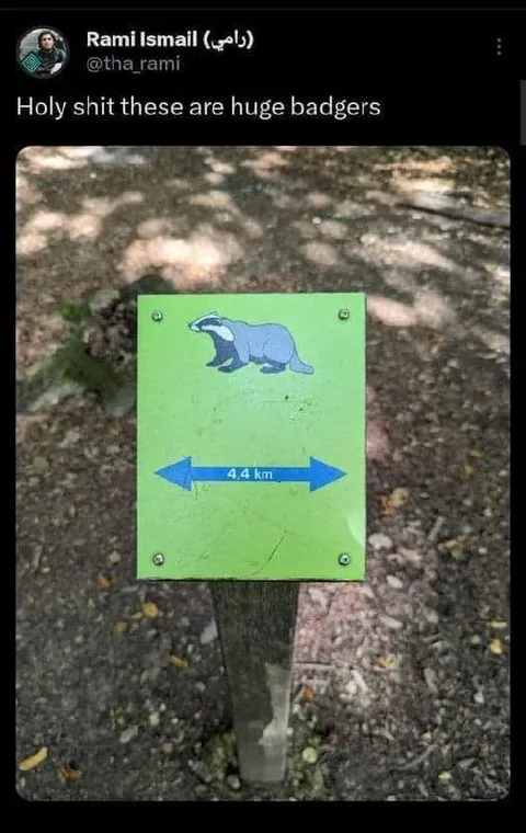 Huge Badgers Sign Misread
