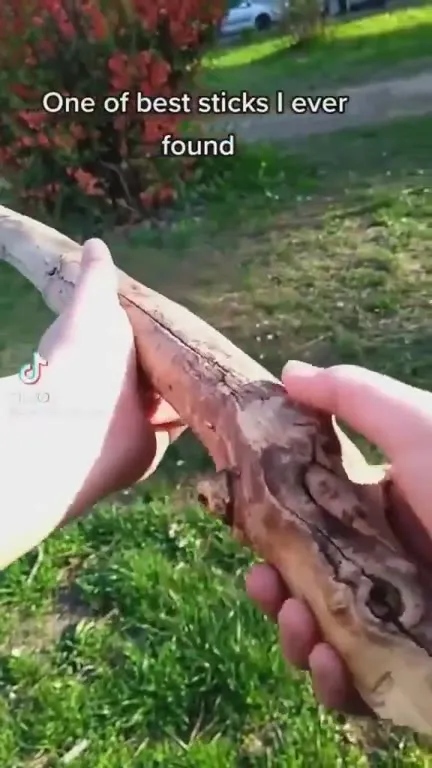 One of the Best Sticks Ever Found