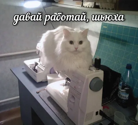 Кот за швейной машинкой